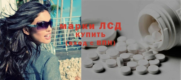 индика Дмитров