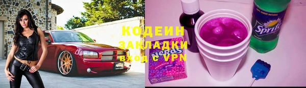 шишки Дмитриев