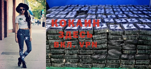 индика Дмитров