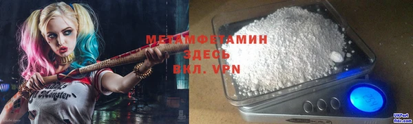 индика Дмитров