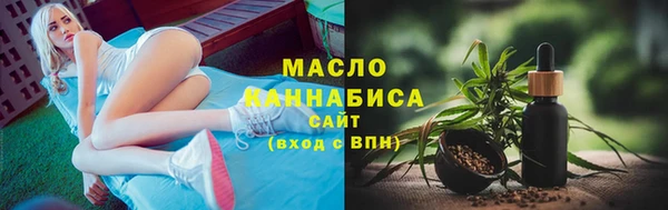 индика Дмитров