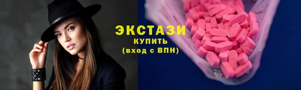 индика Дмитров
