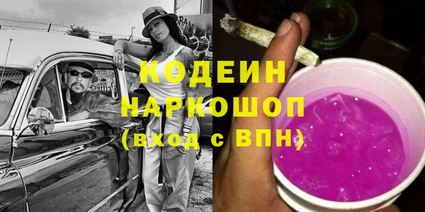 индика Дмитров