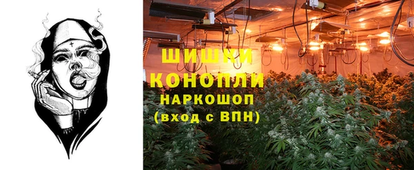 шишки Дмитриев