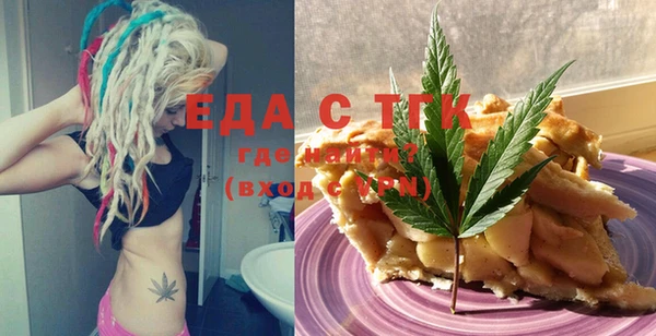 индика Дмитров