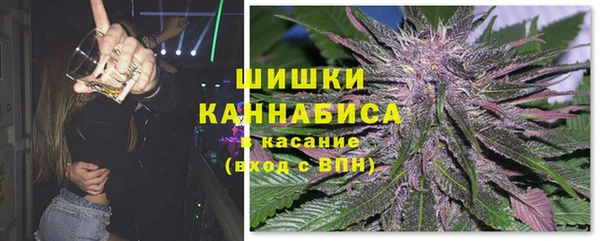 шишки Дмитриев