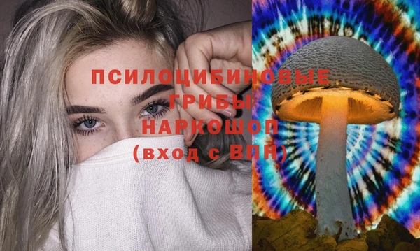 скорость Гусь-Хрустальный