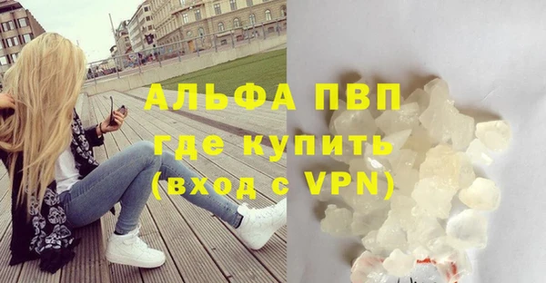 шишки Дмитриев