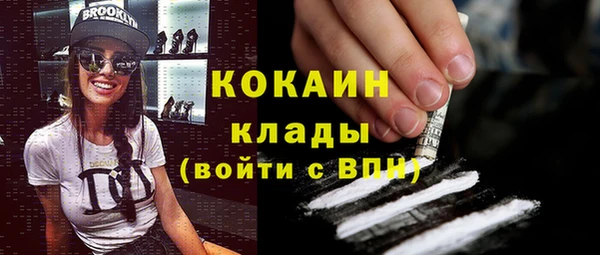 шишки Дмитриев