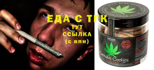 индика Дмитров