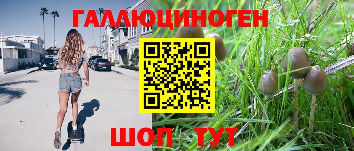 Псилоцибиновые грибы мицелий  наркота  Железноводск 