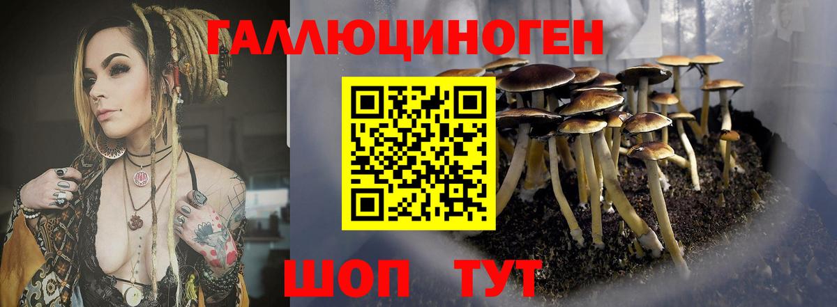 Галлюциногенные грибы прущие грибы  Вход с VPN  Псилоцибиновые грибы прущие грибы  Железноводск 